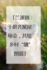 兰溪镇：干群齐聚屋场会，共绘乡村“靓”图景