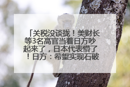 关税没谈拢！美财长等3名高官当着日方吵起来了，日本代表懵了！日方：希望实现石破茂与特朗普的会晤