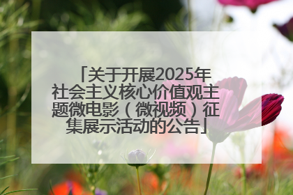 关于开展2025年社会主义核心价值观主题微电影（微视频）征集展示活动的公告