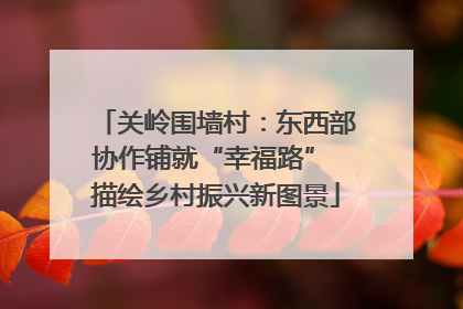 关岭围墙村：东西部协作铺就“幸福路” 描绘乡村振兴新图景