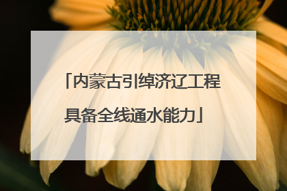 内蒙古引绰济辽工程具备全线通水能力