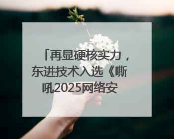 再显硬核实力，东进技术入选《嘶吼2025网络安全产业图谱》