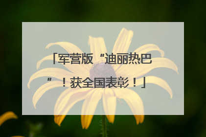 军营版“迪丽热巴”！获全国表彰！