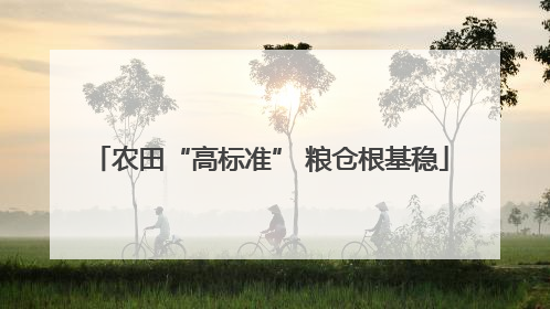 农田“高标准” 粮仓根基稳