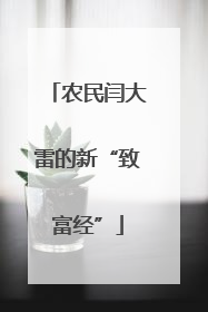农民闫大雷的新“致富经”