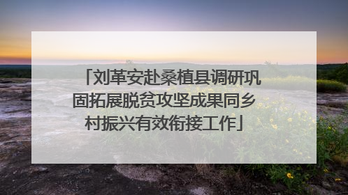 刘革安赴桑植县调研巩固拓展脱贫攻坚成果同乡村振兴有效衔接工作