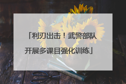 利刃出击！武警部队开展多课目强化训练