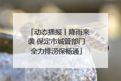 动态播报丨降雨来袭 保定市城管部门全力排涝保畅通