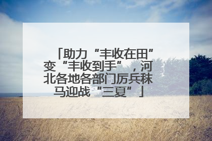 助力“丰收在田”变“丰收到手”，河北各地各部门厉兵秣马迎战“三夏”