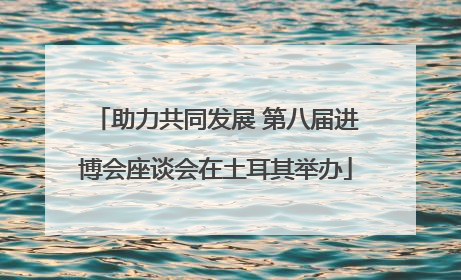 助力共同发展 第八届进博会座谈会在土耳其举办