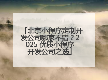 北京小程序定制开发公司哪家不错？2025 优质小程序开发公司之选