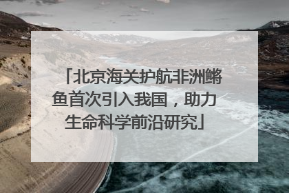 北京海关护航非洲鳉鱼首次引入我国，助力生命科学前沿研究