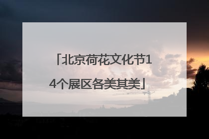 北京荷花文化节14个展区各美其美