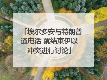 埃尔多安与特朗普通电话 就结束伊以冲突进行讨论