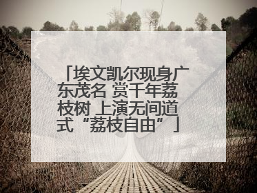 埃文凯尔现身广东茂名 赏千年荔枝树 上演无间道式“荔枝自由”