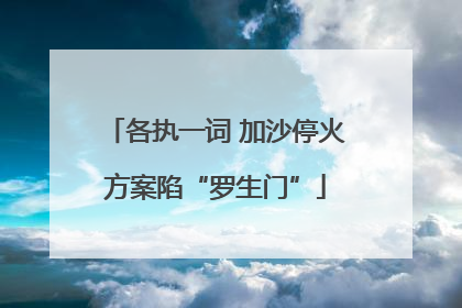 各执一词 加沙停火方案陷“罗生门”