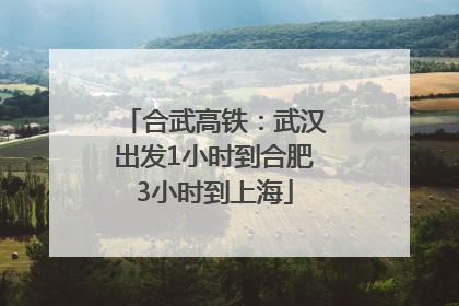 合武高铁：武汉出发1小时到合肥3小时到上海
