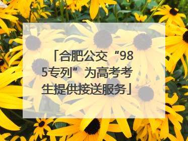 合肥公交“985专列”为高考考生提供接送服务