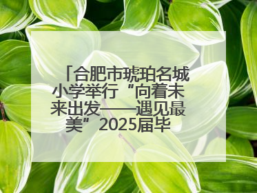 合肥市琥珀名城小学举行“向着未来出发——遇见最美”2025届毕业典礼