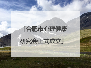 合肥市心理健康研究会正式成立