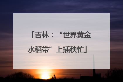 吉林：“世界黄金水稻带”上插秧忙
