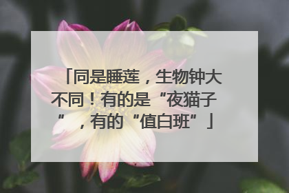 同是睡莲，生物钟大不同！有的是“夜猫子”，有的“值白班”