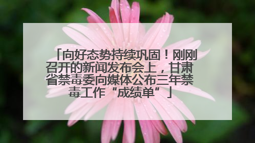 向好态势持续巩固！刚刚召开的新闻发布会上，甘肃省禁毒委向媒体公布三年禁毒工作“成绩单”