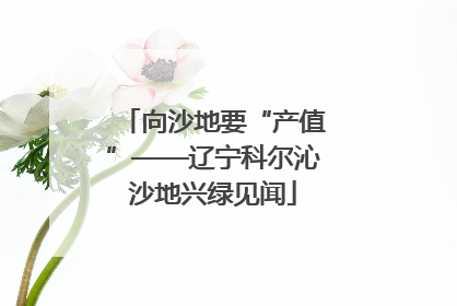 向沙地要“产值”——辽宁科尔沁沙地兴绿见闻