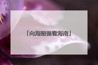 向海图强看海南