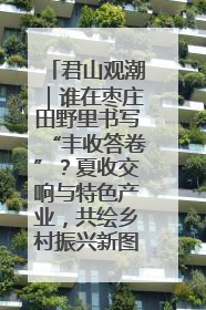君山观潮｜谁在枣庄田野里书写“丰收答卷”？夏收交响与特色产业，共绘乡村振兴新图景