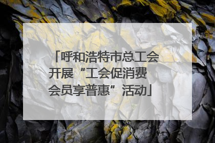 呼和浩特市总工会开展“工会促消费 会员享普惠”活动
