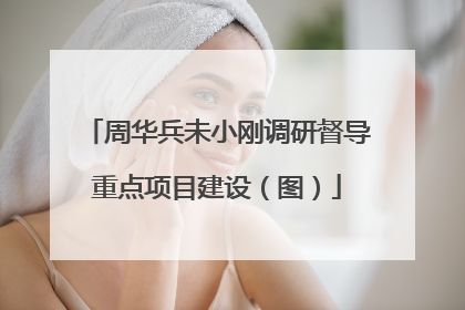 周华兵未小刚调研督导重点项目建设（图）