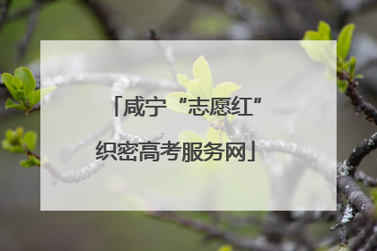 咸宁“志愿红”织密高考服务网
