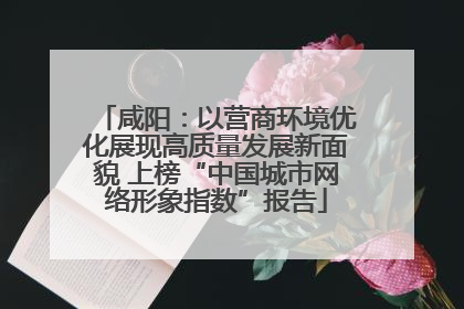 咸阳：以营商环境优化展现高质量发展新面貌 上榜“中国城市网络形象指数”报告