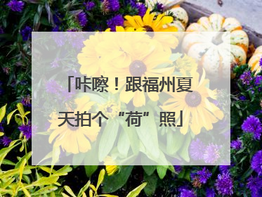 咔嚓！跟福州夏天拍个“荷”照