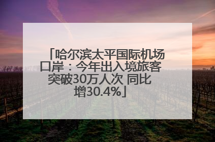 哈尔滨太平国际机场口岸：今年出入境旅客突破30万人次 同比增30.4%
