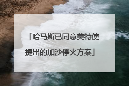 哈马斯已同意美特使提出的加沙停火方案