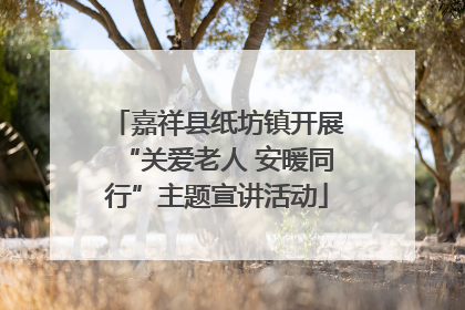 嘉祥县纸坊镇开展“关爱老人 安暖同行”主题宣讲活动