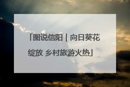 图说信阳｜向日葵花绽放 乡村旅游火热
