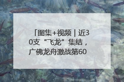 图集+视频｜近30支“飞龙”集结，广佛龙舟激战第60届荔湾“沙溪景”