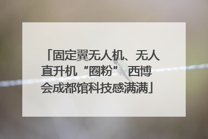 固定翼无人机、无人直升机“圈粉” 西博会成都馆科技感满满
