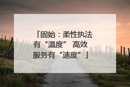 固始：柔性执法有“温度” 高效服务有“速度”