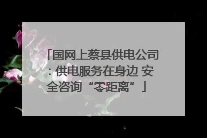 国网上蔡县供电公司：供电服务在身边 安全咨询“零距离”