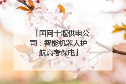 国网十堰供电公司：智能机器人护航高考保电
