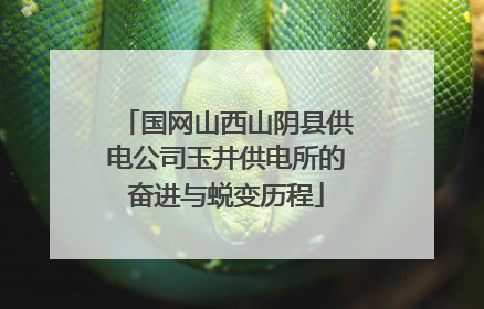 国网山西山阴县供电公司玉井供电所的奋进与蜕变历程