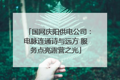 国网庆阳供电公司：电脉连通诗与远方 服务点亮露营之光