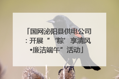 国网泌阳县供电公司：开展“‘粽’享清风 •廉洁端午”活动