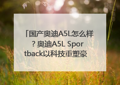 国产奥迪A5L怎么样？奥迪A5L Sportback以科技重塑豪华运动轿车市场格局