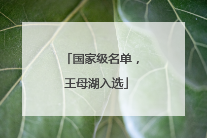 国家级名单，王母湖入选