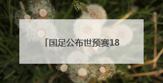 国足公布世预赛18强赛大名单：武磊回归 杨明洋首次入选